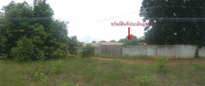 222 ม.2  แก่งโสภา วังทอง พิษณุโลก