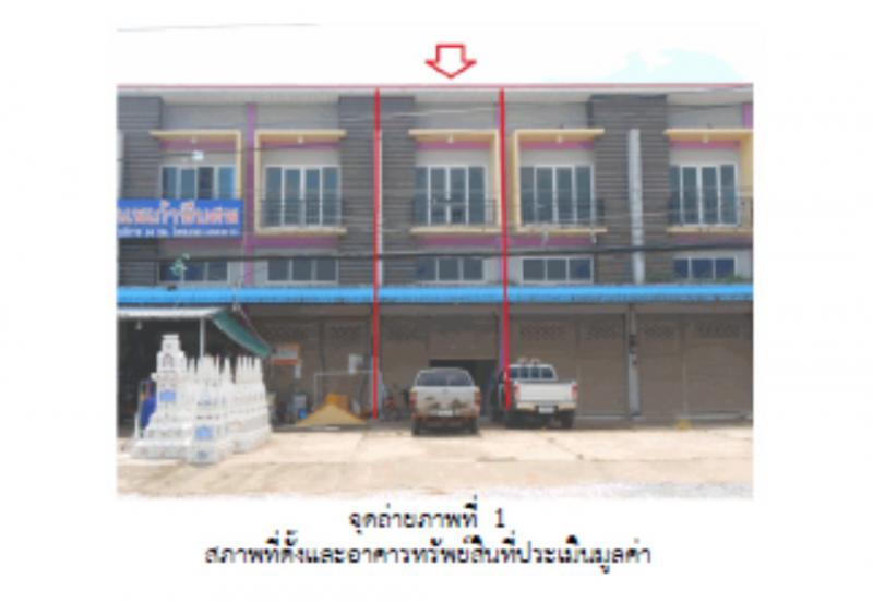 ป่าแดง ชาติตระการ พิษณุโลก