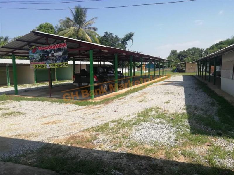 ไผ่ขอดอน เมืองพิษณุโลก พิษณุโลก
