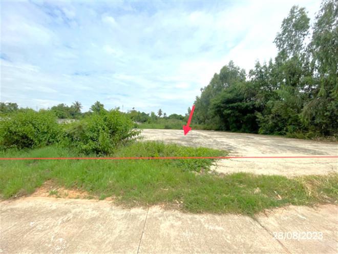 บ้านป่า เมืองพิษณุโลก พิษณุโลก