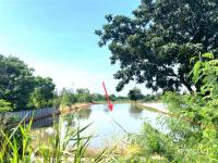 ขายที่ดินว่างเปล่า