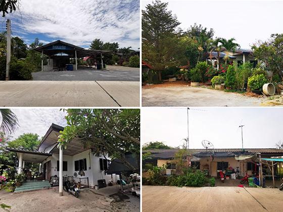 วัดจันทร์ เมืองพิษณุโลก พิษณุโลก